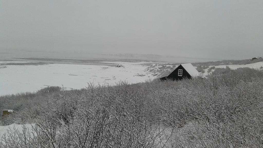 Black Timber House Borgarnes Esterno foto
